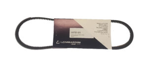 V-belt Lombardini 2204